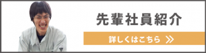 先輩社員紹介